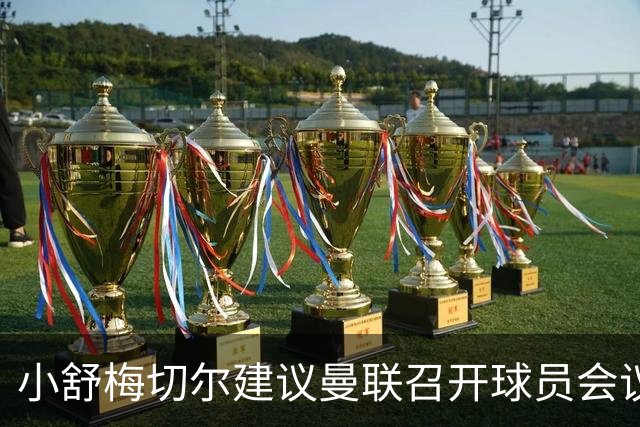 小舒梅切尔建议曼联召开球员会议，强调B费需发声
